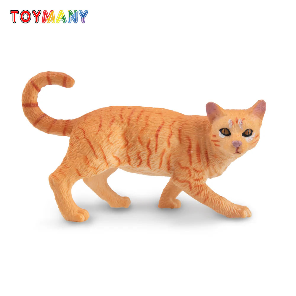 Toymany Simulazione Striding A - Kids First Education recensione e prezzo
